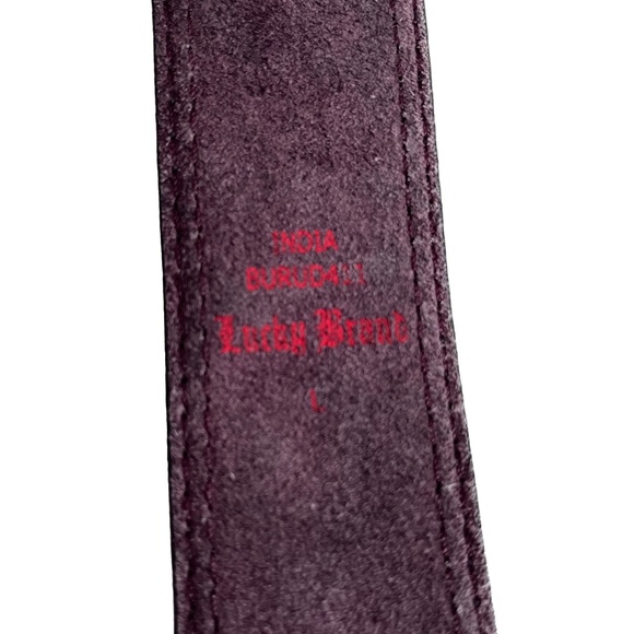 Suede Embroidered Belt - Picture 5 of 6